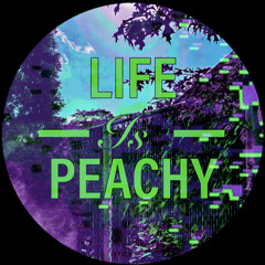 Life Is Peachy prod by H$$