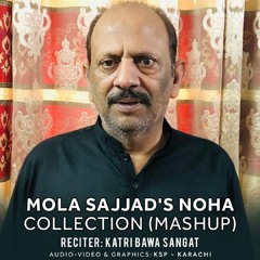 Mola Sajjad's Noha Collection (Mashup)