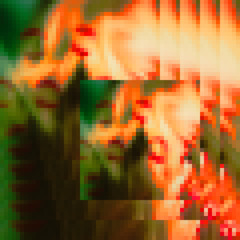 SHOWOFF (BRAINBOUNCE Remix)