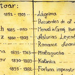 Začetnik vadi muzikalnost in motoriko, za koncertiranje