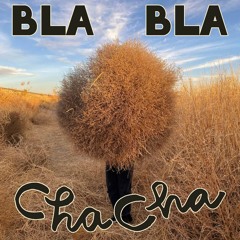 {[ PREVIEW CLIP ]} // BLA BLA CHA CHA // WATERFALLS OF ASHEVILLE WITH HELADO NEGRO  //