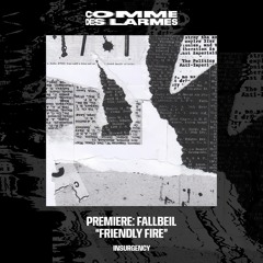PREMIERE CDL || Fallbeil - Friendly Fire [INSURGENCY] (2023)
