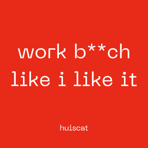 work b**ch x like i like it (huiscat edit)