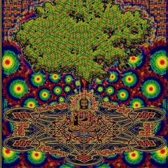 Floorsense (Life project). Nov 2023