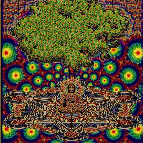 Floorsense (Life project). Nov 2023