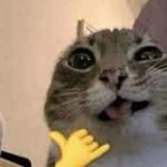 SUBBY - BLOCKZ [SHOCKZ VIP]