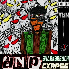 DNP (FT. CXRPSE) (PROD. ZIZLAV & YODANIEL2X)