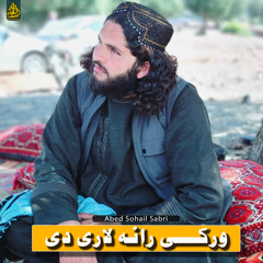 د تورو زلفو ولونا