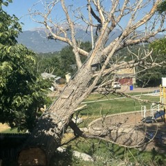 I Can See Clearly Now