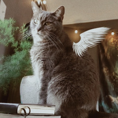 bass bath атмосфера mix 2