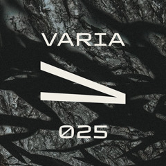 VARIA 025 - CONRAD VAN ORTON