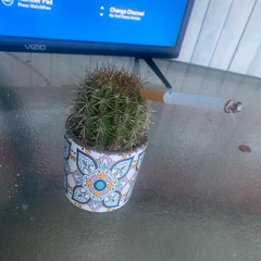 lol v2 (jactis cactus version)