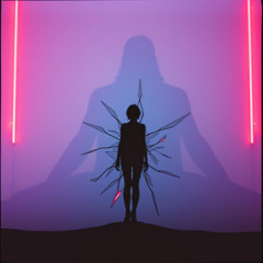 The Shape of Unsaid Things