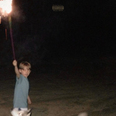 Davin Glover - palm tree misery