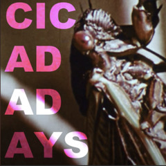 Cicada Days - Will Wood