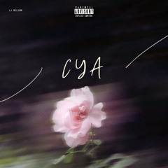 C Y A