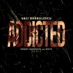 Vali Barbulescu - Addicted (Robert Georgescu And White Remix)