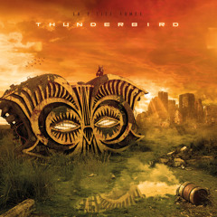 You See Me (feat. Mandragora)