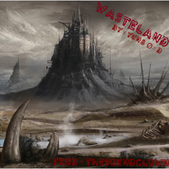 Wasteland (Prod.TheSoundClown)