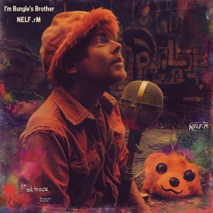 I'm Bungle's Brother