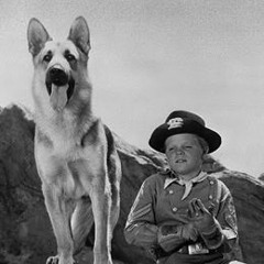 Series Retro | Rin Tin Tin