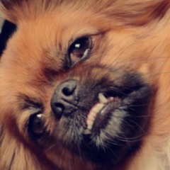 OK LETS GO Hardstyle Remix