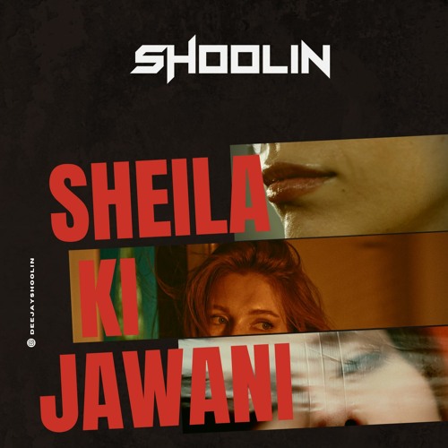 SHEILA LIKE THIS DJ SHOOLIN