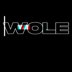 soundbywole 1 Mix