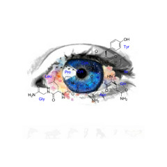 Through My Eyes