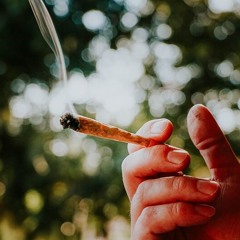 Wie ist es legal Cannabis zu kaufen? (25.06.24)