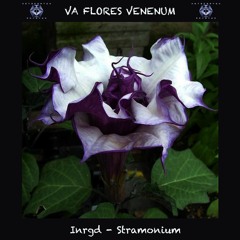 19. (outro) INRGD - Stramonium (95 BPM) VA Flores Venenum - Metacortex Records