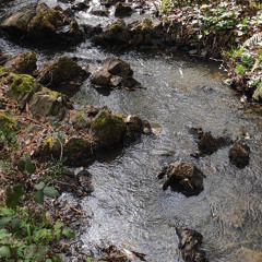 B templ1 drone2 (based on Huw Morgan's "the sound of the river was in my head")