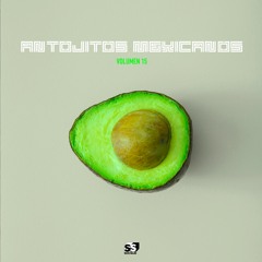 Vestron Vulture - Tiny Punk Rock Girl