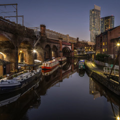 Surelock - Autumn Blend 2025