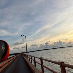 Lana I wanna be your man......mp3