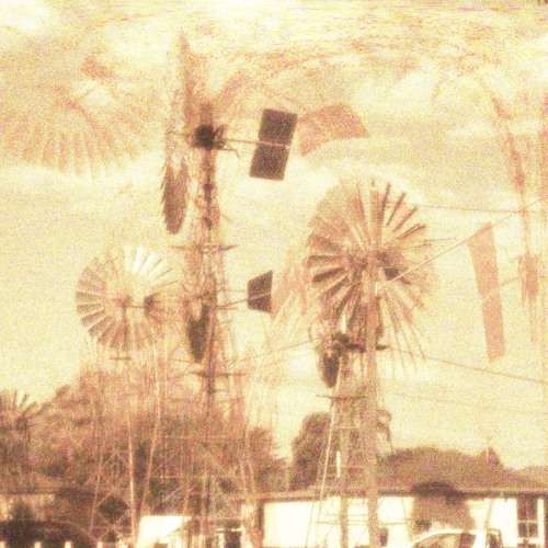 Cattails (Demo)