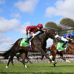 Guineas Day Preview