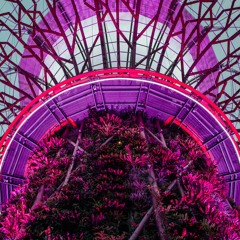 [alien forests] (2019): for string quartet
