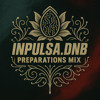 Preperation Mix DJ mix artwork - Electronic music tracklist cover image