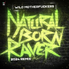 Wild Motherfuckers - Natural Born Raver (2024 Remix)