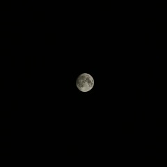 SIEMPRE TARDE (DEMO INSTRUMENTAL)