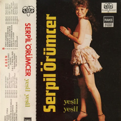 Serpil Örümcer - Alla beni (folk pop, Turkey 1985)