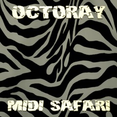 Midi Safari