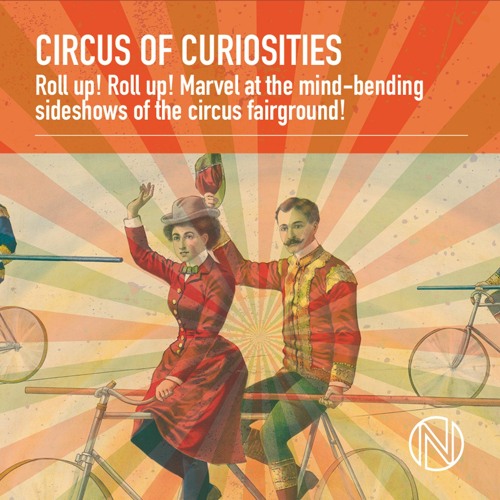 Quirky Curiosities