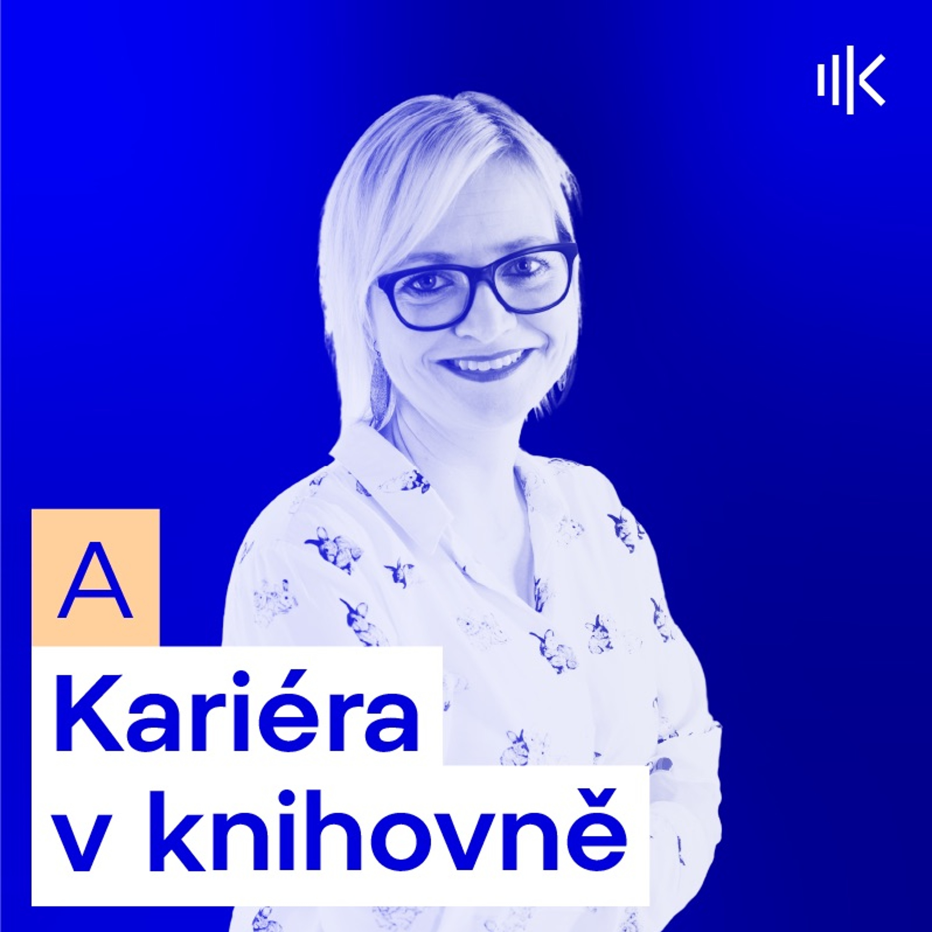 #19 Knihovny už nejsou jen půjčovny knih, uplatní se zde kdokoli episode artwork