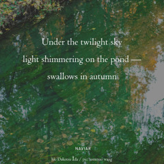 SONG 99 - NaviarHaiku595