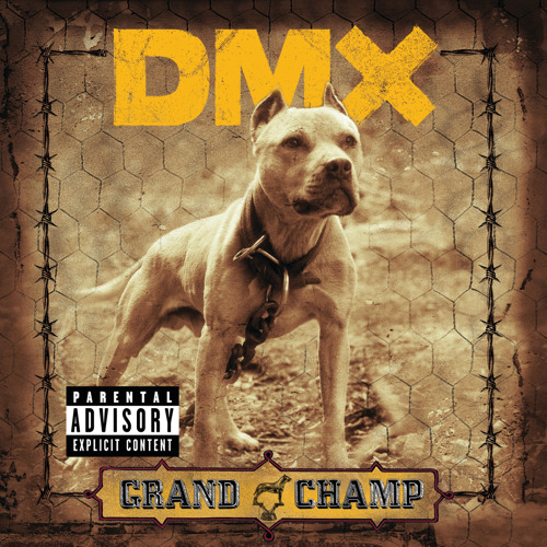 Listen to Get It On The Floor (feat. Swizz Beatz) by DMX in TREE