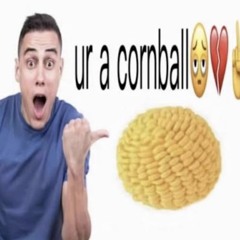 HOOLIGAN LOU - UR A CORNBALL PROD. BY CORNYBOY1P1