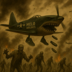 MELØ AIRLINES