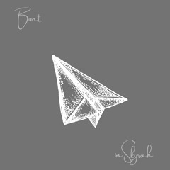 BUNT. - Paperplanes (inSkyrah Remix)